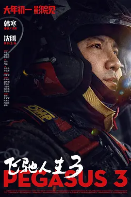 胸大的姑娘日本播放