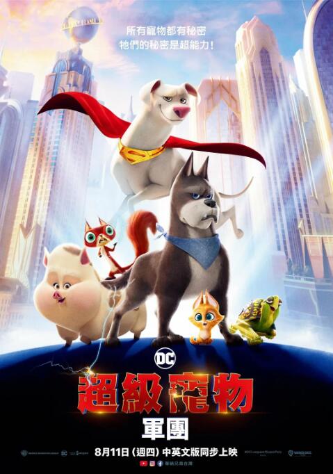 91小视频在线观看