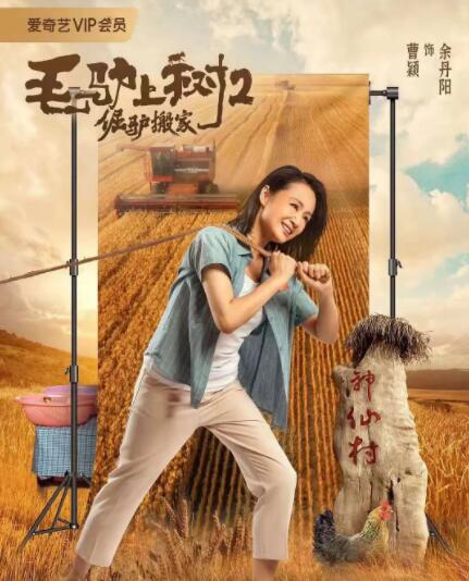 交警成为小混混的警犬
