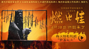 狠狠噜噜