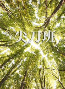 激情图片快播