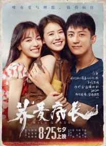 亚洲欧美日韩精品久久亚洲区