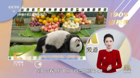 a在线观看免费
